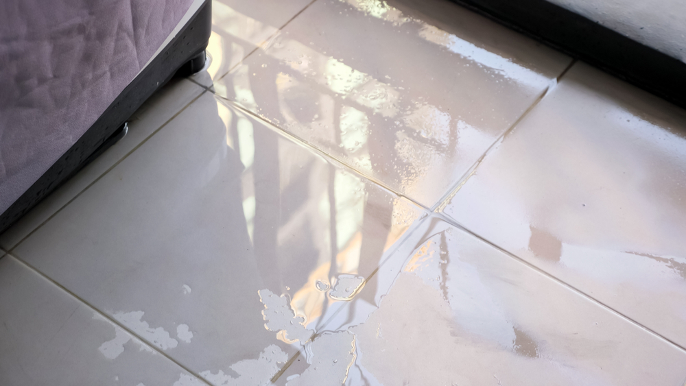 how to sanitize after water damage
